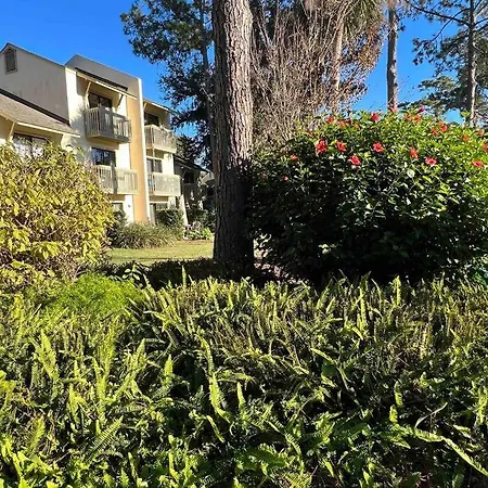 Spacious, Cozy Villa W/Parking In Coligny Villas Hilton Head Island Exterior foto