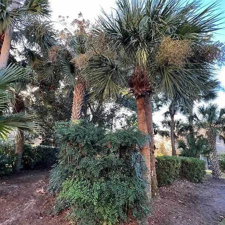 Spacious, Cozy Villa W/Parking In Coligny Villas Hilton Head Island Exterior foto